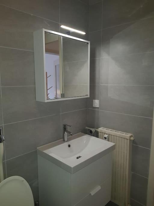 Studio De La Petite France Leilighet Strasbourg Eksteriør bilde