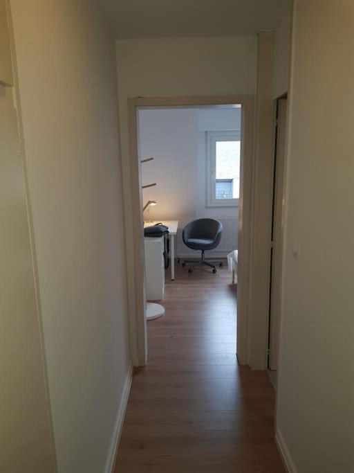 Studio De La Petite France Leilighet Strasbourg Eksteriør bilde